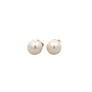 Petite 5MM Akoya Cultured Pearl Stud Earrings in Yellow Gold
