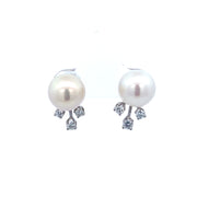 Akoya Cultured Pearl and Diamond Earrings in White Gold