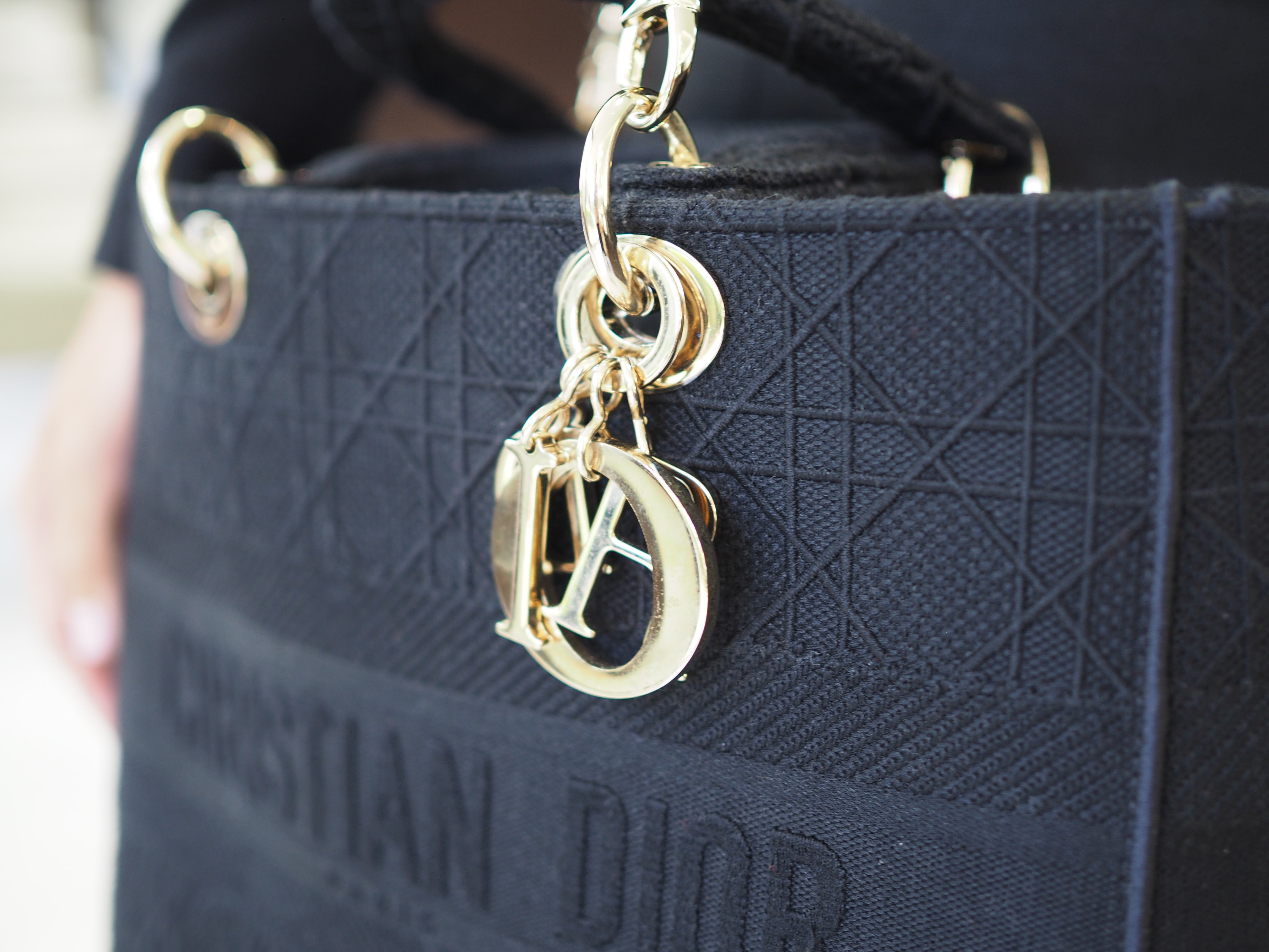 Pre-Owned Christian Dior Medium D-Lite Cannage Embroidered Canvas