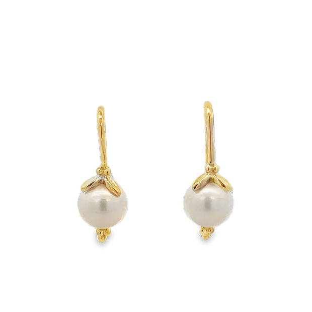 Akoya Cultured Pearl Drop Earrings in Yellow Gold