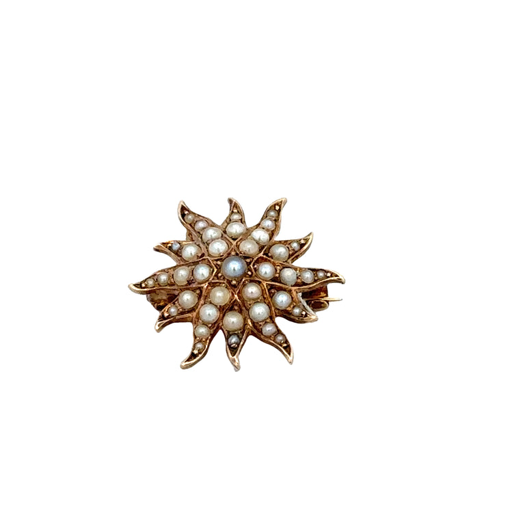 Antique Victorian Seed Pearl Starburst Pin / Pendant in Yellow Gold