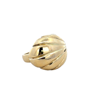 Domed Shell Ring in 18k Yellow Gold