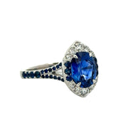 Natural No Heat Blue Sapphire and Diamond Ring in 18k White Gold